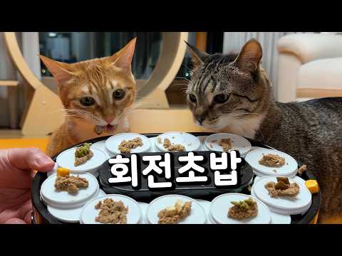 박춘봉 초밥 먹튀함;;