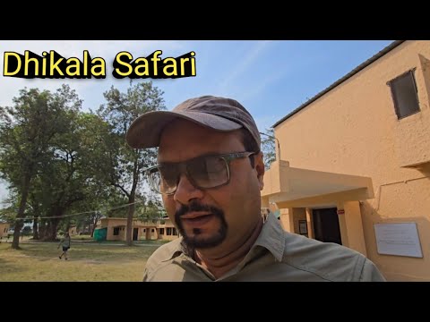 Thrilling Dhikala Safari in Open Gypsy | Wild Elephants, Tusker & Tigress Encounter , Vivek Awasthi
