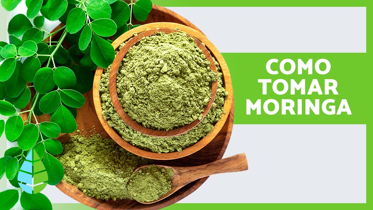 5 FORMAS DE TOMAR MORINGA 🌿 Beneficie-se de suas PROPRIEDADES MEDICINAIS!