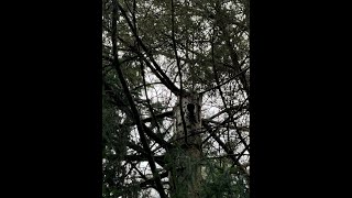 xtrvdn - FRT mix master (DJ MIX)