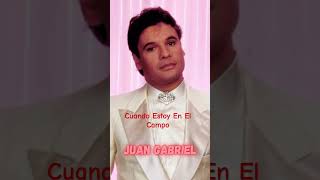 Cuando Estoy En El Campo | Juan Gabriel | 1995 | Short #short #baladas #musica #viejitas