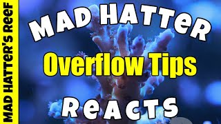 Reef Tank Overflow Tips | MAD Hatter Reacts