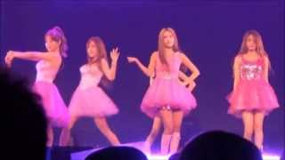 130712 Fancam Target - T-ara in Budokan Concert
