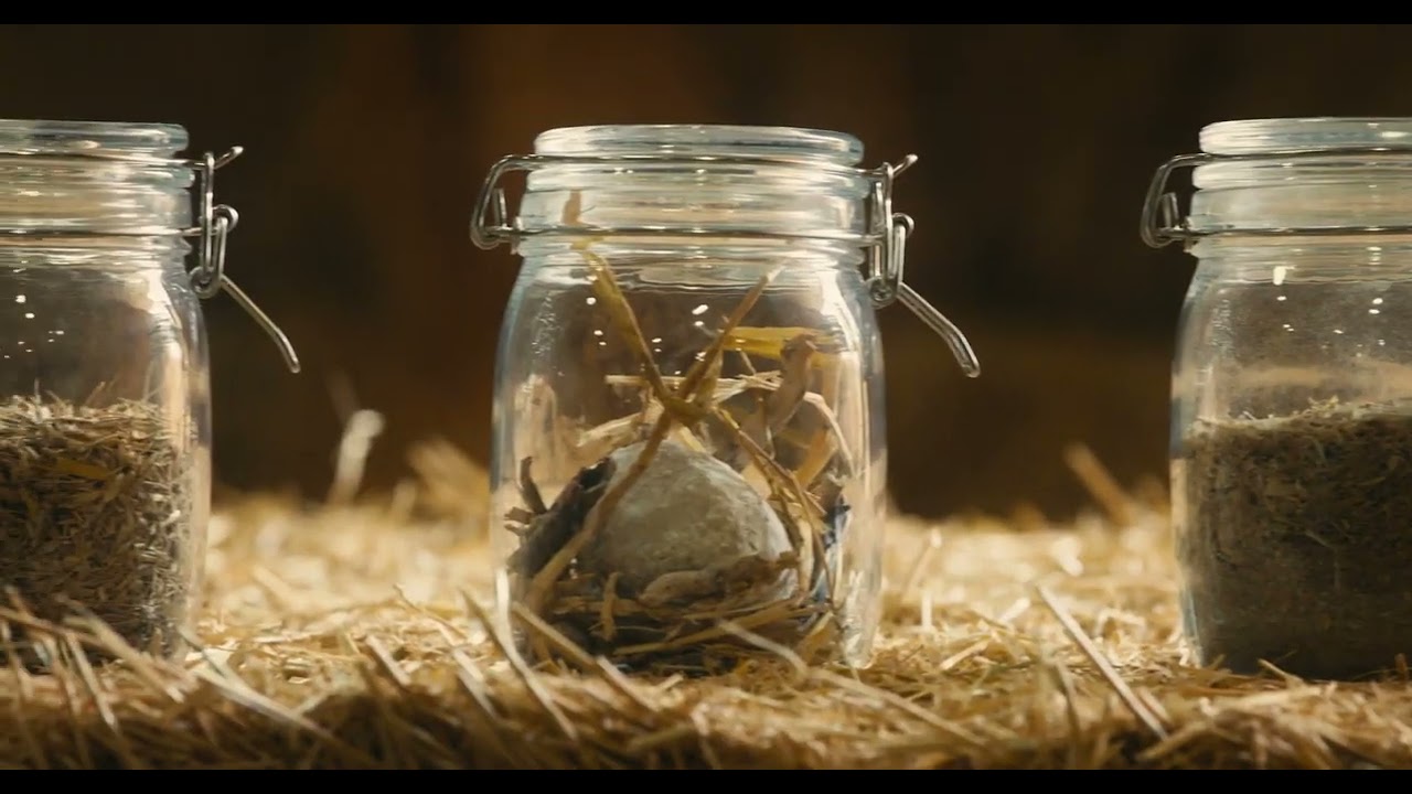 FarmStraw  Product Video Short