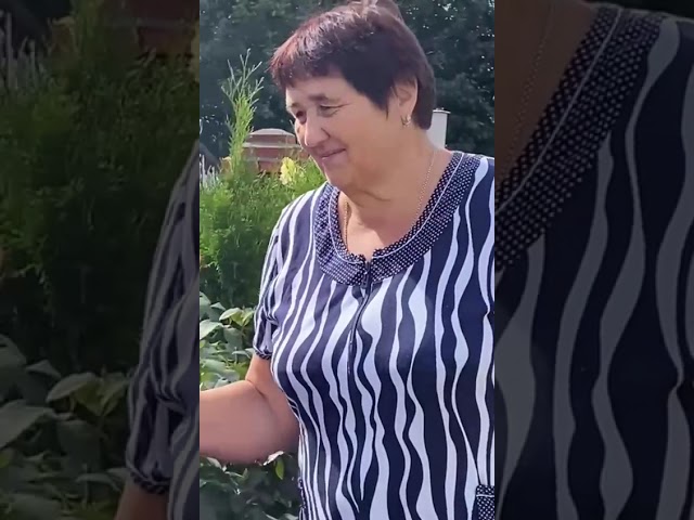 Цветочное великолепие в деревне Пчеловод