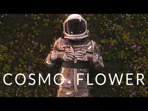 Сosmos flower | Chillout Relaxing Mix