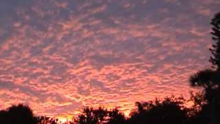 Heron Shores at Sunset