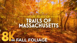 Scenic Views from Ashley Reservoir Trail 8K HDR | Autumn Colors, Water Birds & Pure Nature Sounds