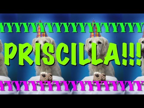 HAPPY BIRTHDAY PRISCILLA! - EPIC Happy Birthday Song