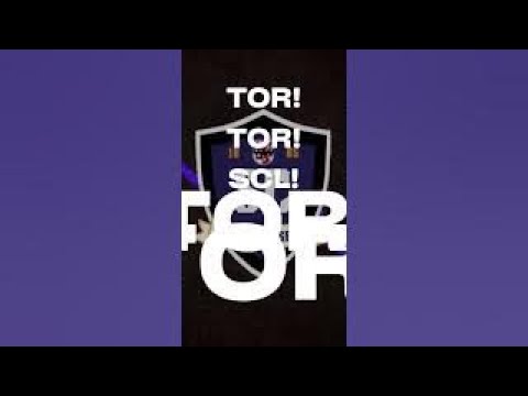 Die neue Tor-Animation des SC Leverkusen 1885! #udfv1892 #udfvfussball #scleverkusen1885