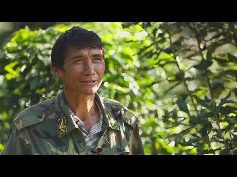 Rural Chinese Farmers