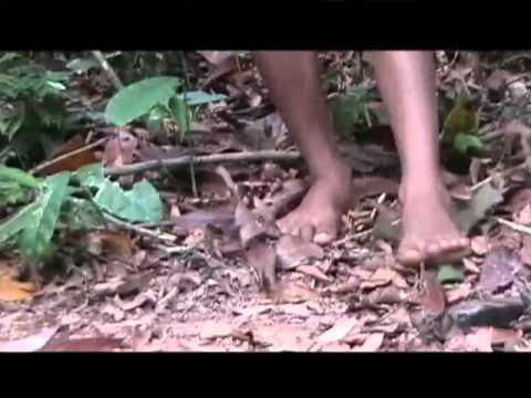 Você acredita na lenda da Mãe D'Água?