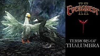EverQuest II - Fowlumbra, the Ever Duck - EQ2 Terrors of Thalumbra Duck Zone