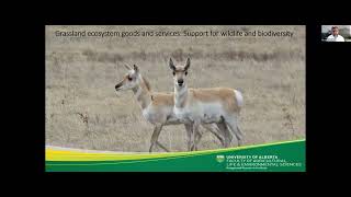 Soil carbon storage in Saskatchewan's Grasslands