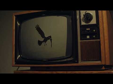 Watch the video