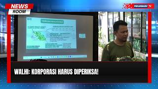 WALHI Minta Korporasi Ikut Diperiksa dalam Kasus Karhutla