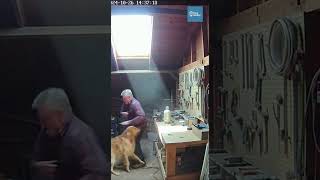 Golden Retriever Pushes Owner Aside Moments Before a Violent Attic Explosion