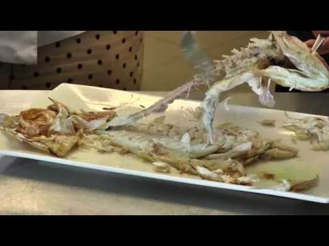 Report TV - Rreze Dielli,  Gatimi "VITA 99" 13 shtator Pj.2