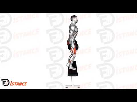 Exercice Step-up avec haltères