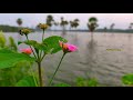 Vembalakkayam Dam Palakkad