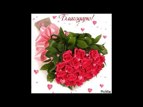 Condesa Tropical   Mi Venganza