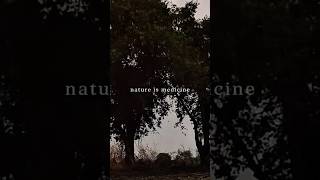 ​#NatureIsMedicine#Mindfulness#MentalWellness#NatureHeals#AestheticNature#CalmYourMind Vibes