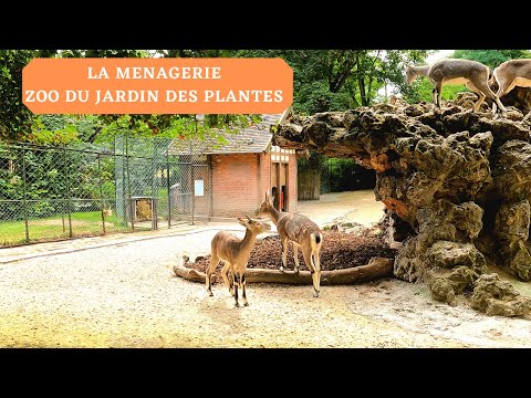 LA MENAGERIE DE PARIS, ZOO DU JARDIN DES PLANTES