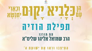 תפילת הודיה בעקבות מתקפת ישראל באירן | ערב שבת בהעלותך תשפ"ה (הרב שמואל אליהו) - התמונה מוצגת ישירות מתוך אתר האינטרנט יוטיוב. זכויות היוצרים בתמונה שייכות ליוצרה. קישור קרדיט למקור התוכן נמצא בתוך דף הסרטון