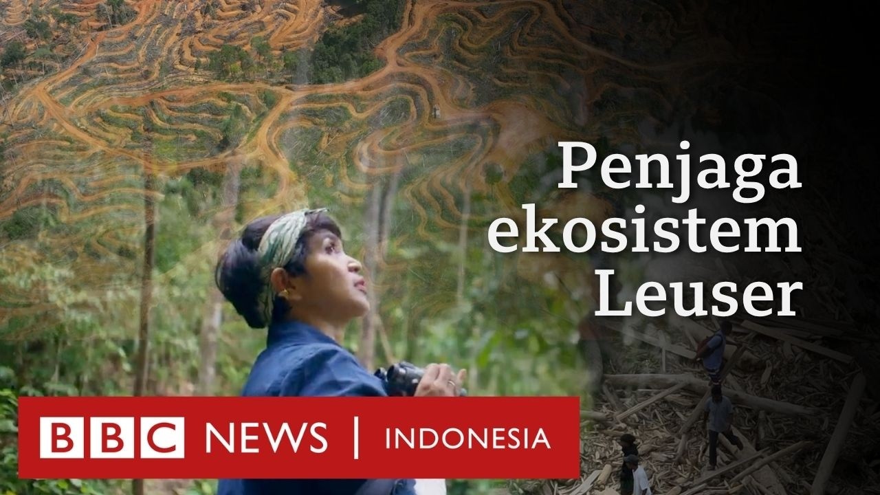 Kisah Farwiza Farhan merawat hutan Leuser di Aceh demi 'membantu bumi sembuh dari penyakitnya'