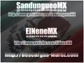 Gatas Sandungueras Mundial 2