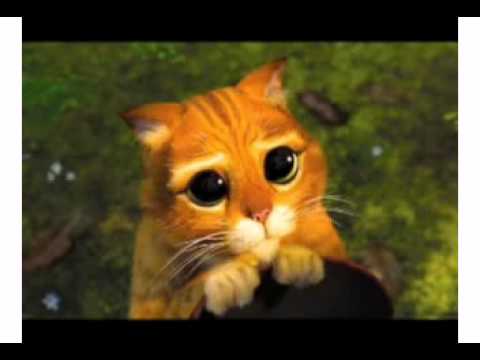 pois é seja quente ou frio Caso contrario.... Apocalipse 3 :15-16