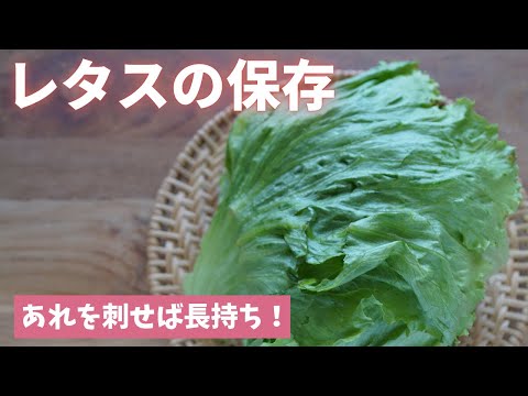 レタスの冷凍: それは可能ですか?可能ならどのようにすればよいですか? トピックス