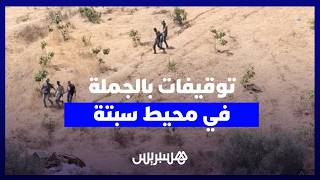 محاولة اقتحام سبتة.. اعتقالات بالجملة وتكثيف أمني بالمحيط thumbnail