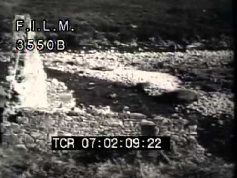 Vintage Scotland (stock footage / archival footage)