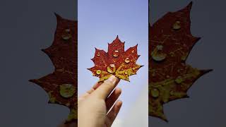 Bringing the colors of autumn to life with 3D printing.
