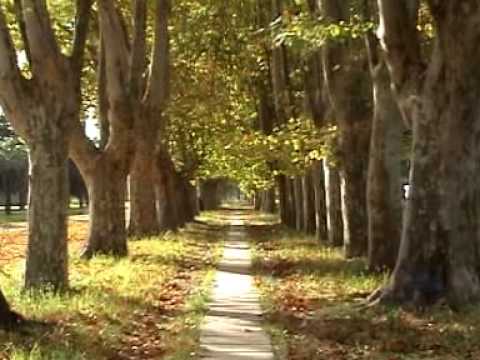 Parque Villarino Zavalla El Otoño