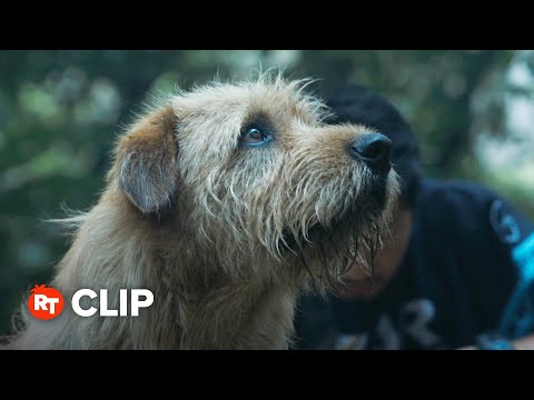 Arthur the King Movie Clip - Must Have Wings (2024)