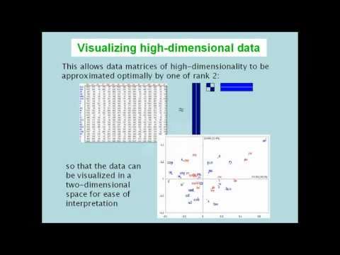 It had to be U  -  the SVD song