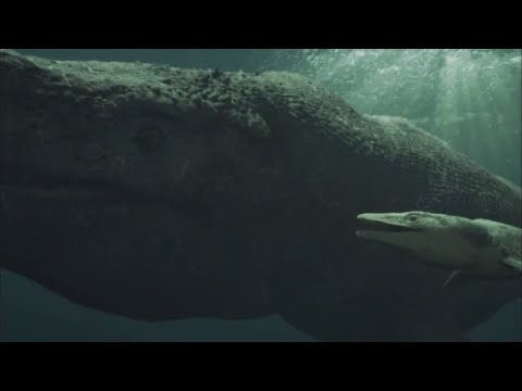 Mark Leggett - Life in the Deep - Dinosaur Revolution