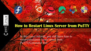How to Restart/Shutdown Linux Server from PuTTY