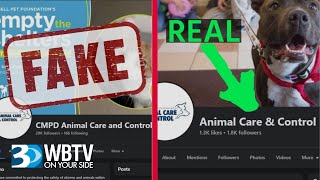 Don’t Be Fooled By This Fake Charlotte Pet Adoption Facebook Page