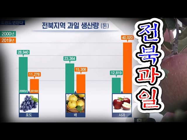 과일 소비 변화