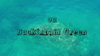 Ween — Buckingham Green | Lyric Video