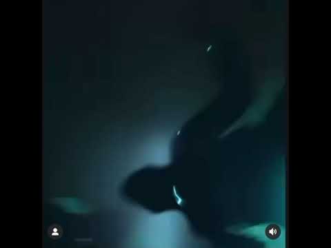 YUS GZ X MELLY X NESTY FLOXKS X ASSASIN X MACHO SNIPPET