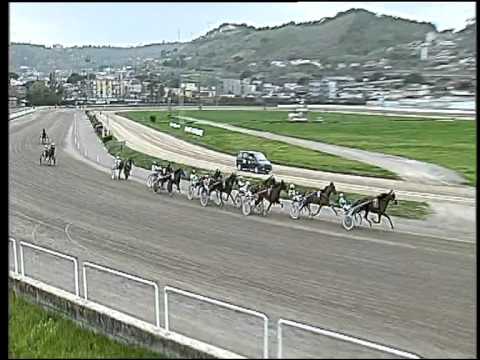 Trotto 26/03/2015 - 6° corsa