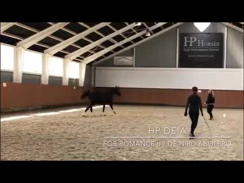 HP Deia (For Romance II x De Niro x Bolero)