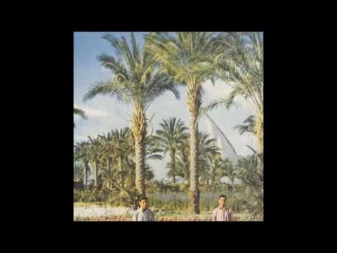 omaure & sumwun • tafoari