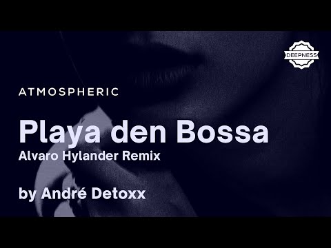 André Detoxx - Playa den Bossa (Alvaro Hylander Remix)