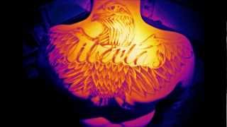 Fleisch & Blut (feat. DaPhyl) - Die Gleichen Fehler