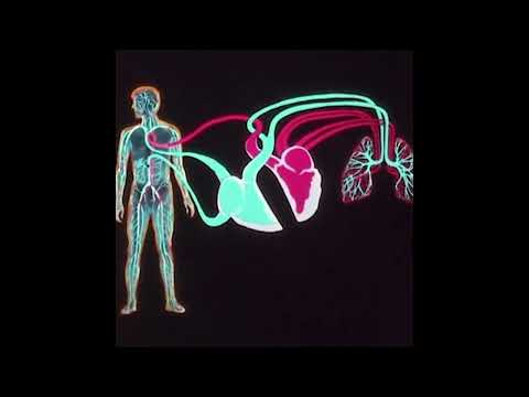 kamilek - Nie dla ciebie (Video)